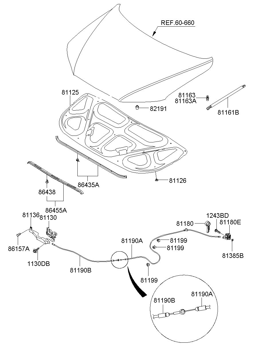 81161B