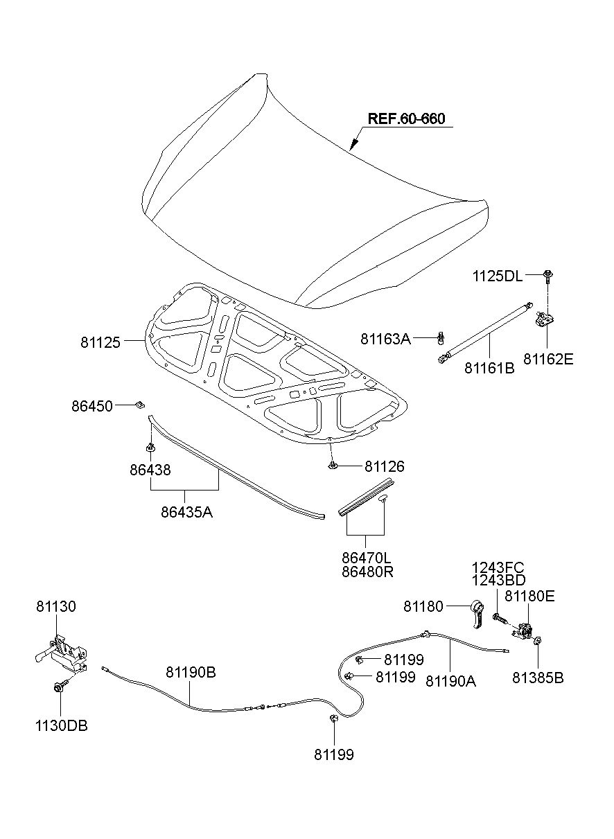 81161B